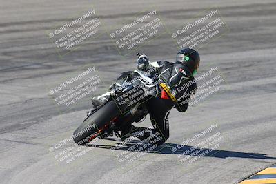 media/Feb-04-2024-SoCal Trackdays (Sun) [[91d6515b1d]]/4-Bowl Backside (11am)/